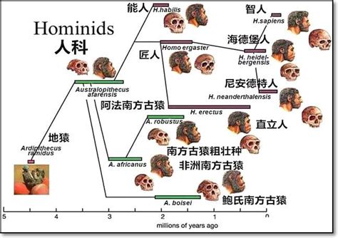 亞洲人是誰的後代|人類遷徙 重建 東亞人類的族譜